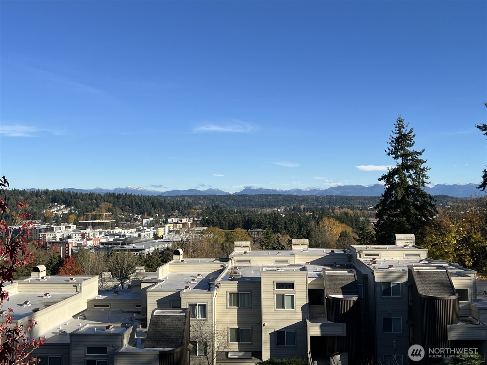 7347 Old Redmond Road 119