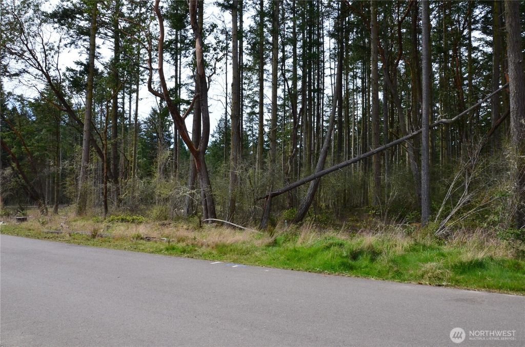 Photo of 6 NKA Katherine Street, Port Townsend, WA 98368 (MLS # 2506698)