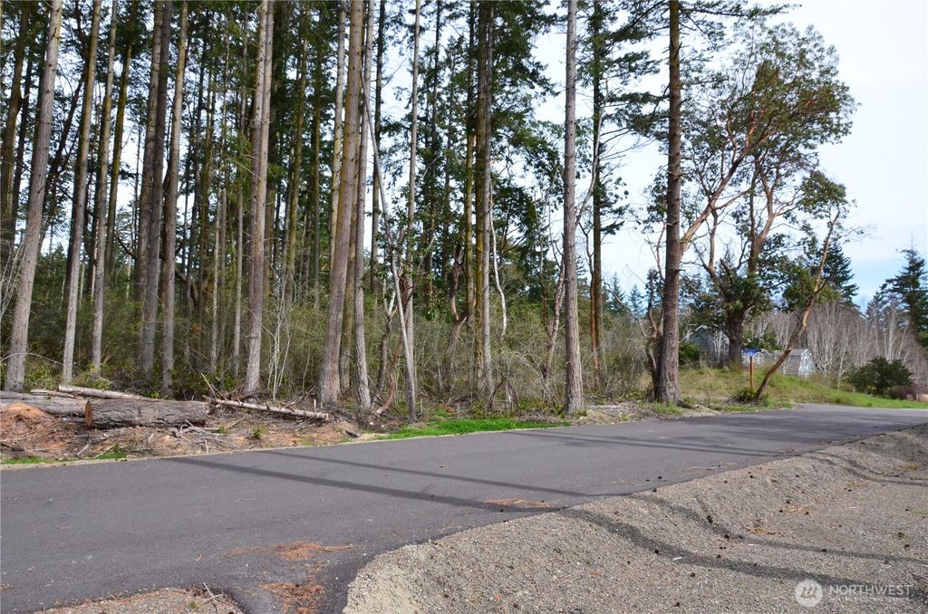 Photo of 6 NKA Katherine Street, Port Townsend, WA 98368 (MLS # 2506698)