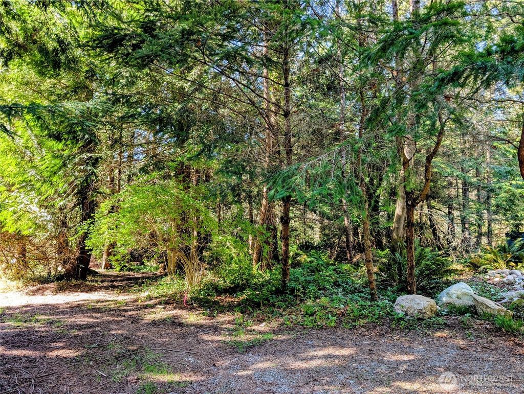 Photo of 1940 N Cedar Park Drive, Point Roberts, WA 98281 (MLS # 2505574)
