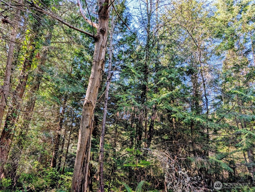 Photo of 1940 N Cedar Park Drive, Point Roberts, WA 98281 (MLS # 2505574)