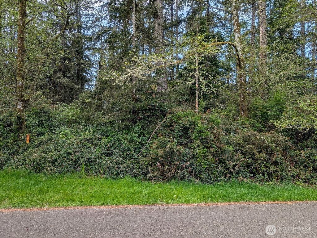 Photo of 757 Evergreen Avenue SE, Ocean Shores, WA 98569 (MLS # 2512670)