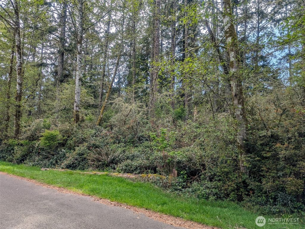 Photo of 757 Evergreen Avenue SE, Ocean Shores, WA 98569 (MLS # 2512670)