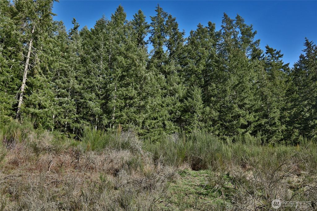 Photo of 0 XXX SR 525 Road, Langley, WA 98260 (MLS # 2498028)