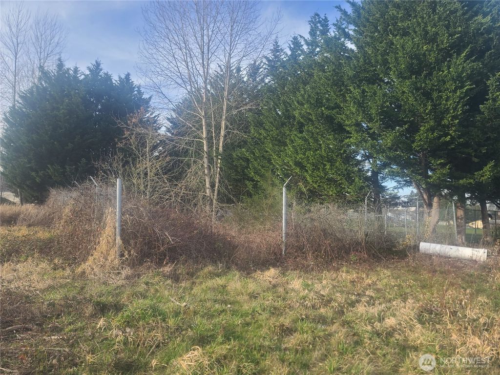 Photo of 3826 E N Street, Tacoma, WA 98404 (MLS # 2471920)