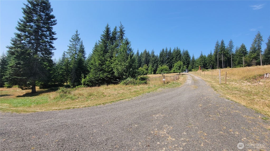 Photo of 3996 Spirit Lake Hwy HWY, Silverlake, WA 98564 (MLS # 2559449)