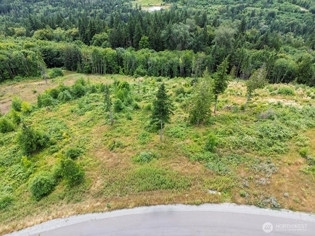 Photo of 3284 Blanchard Knob Trail, Burlington, WA 98233 (MLS # 2562270)