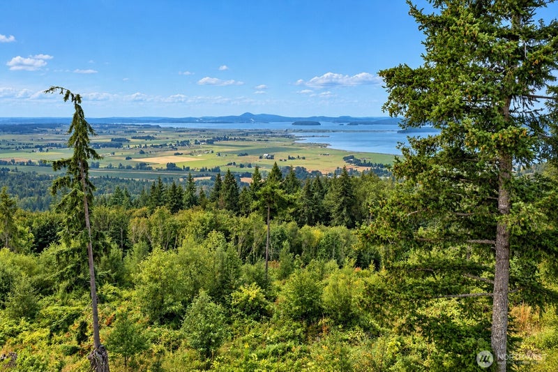 3284 Blanchard Knob Trail