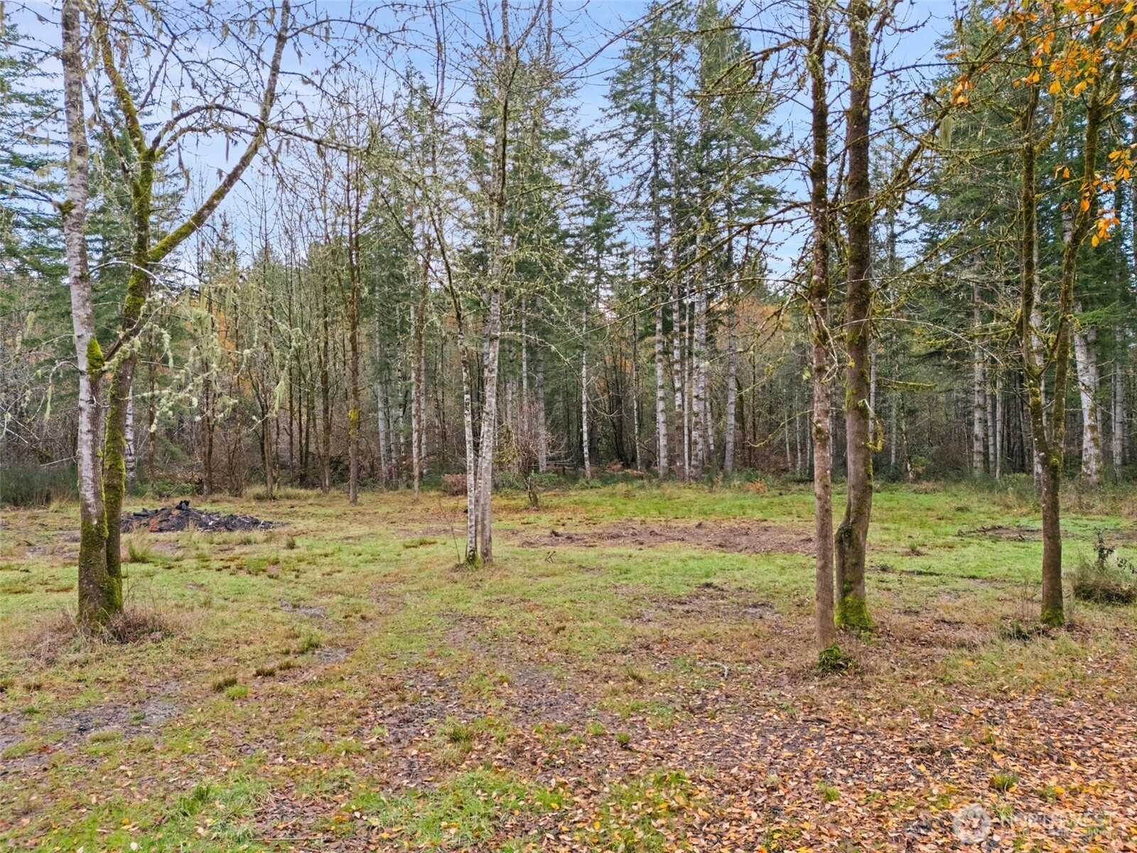 6191 E Pickering Road