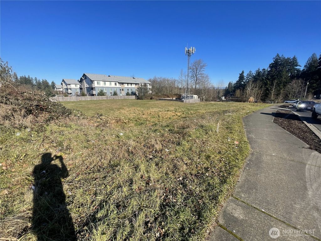 Photo of 0 XXX Emerald Street E, Milton, WA 98371 (MLS # 2431895)