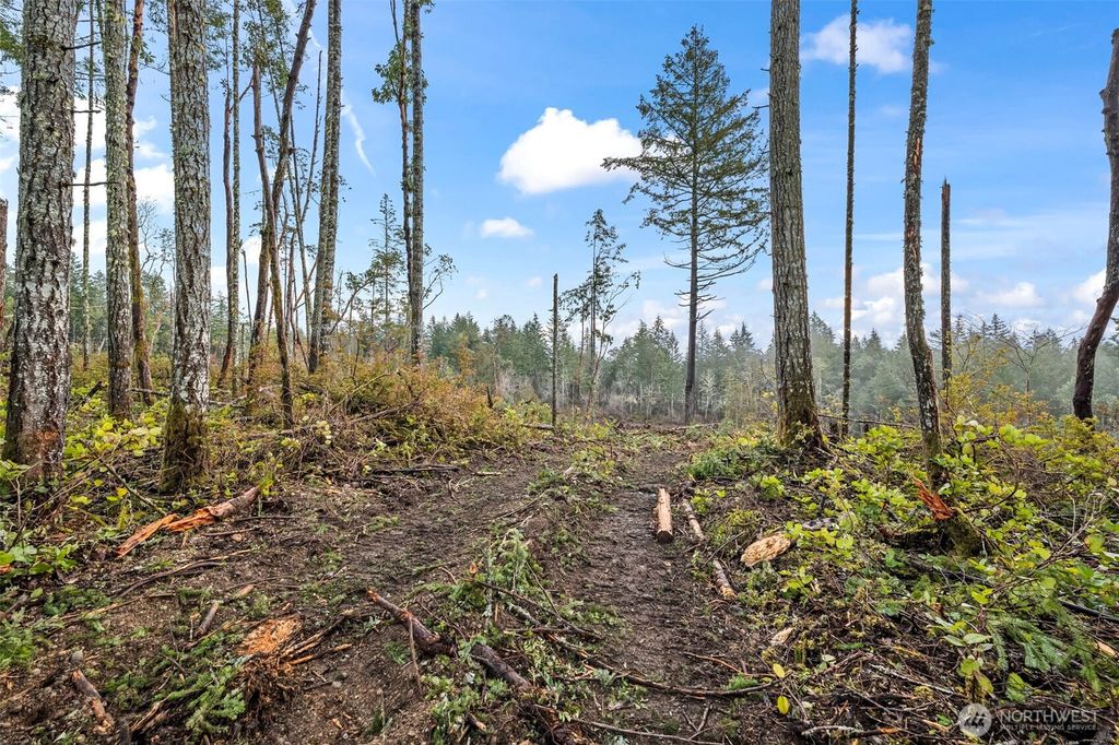 Photo of 1809 208th Avenue SW, Lakebay, WA 98349 (MLS # 2525409)
