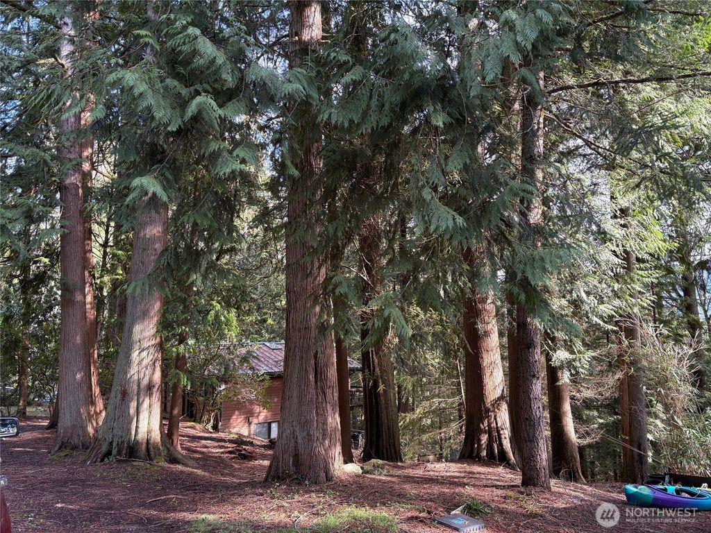 Photo of 49 Deer Run Lane, Bellingham, WA 98229 (MLS # 2480871)