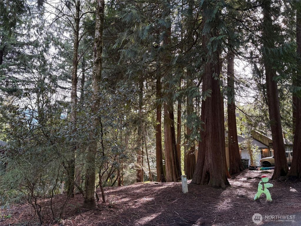 Photo of 49 Deer Run Lane, Bellingham, WA 98229 (MLS # 2480871)