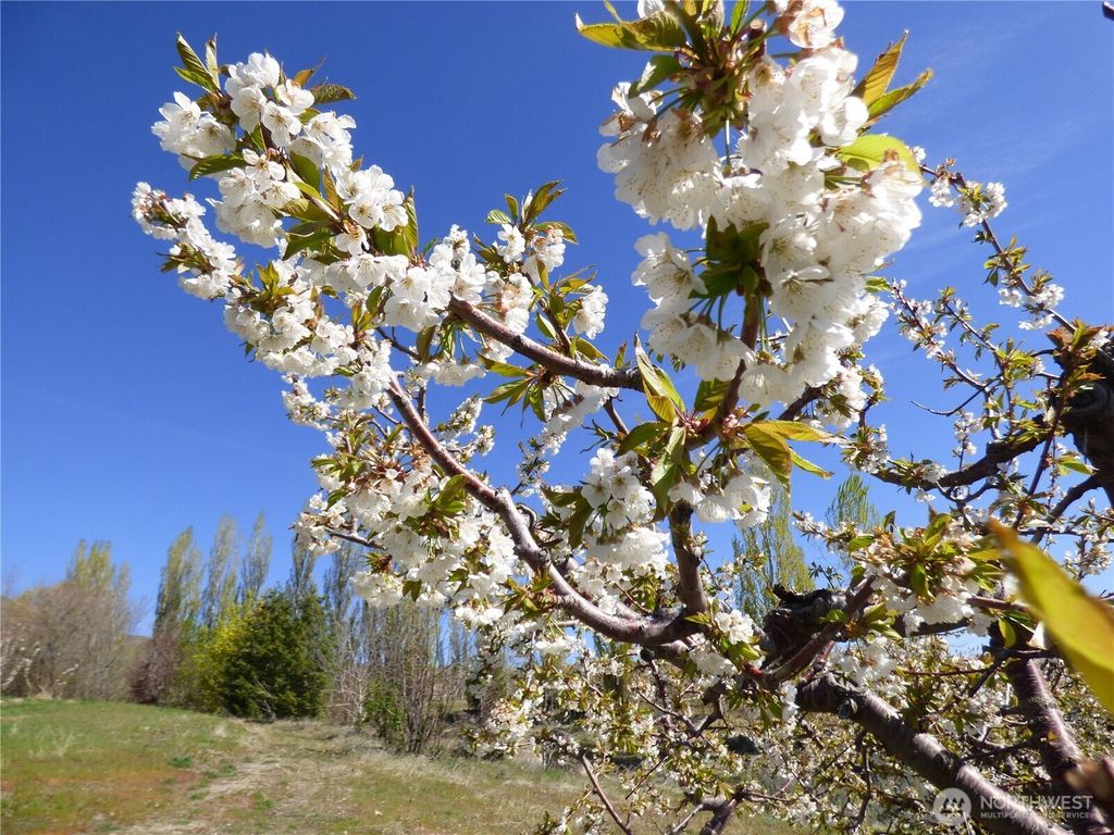 Photo of 501 Jack Wells Road, Bridgeport, WA 98813 (MLS # 2487723)