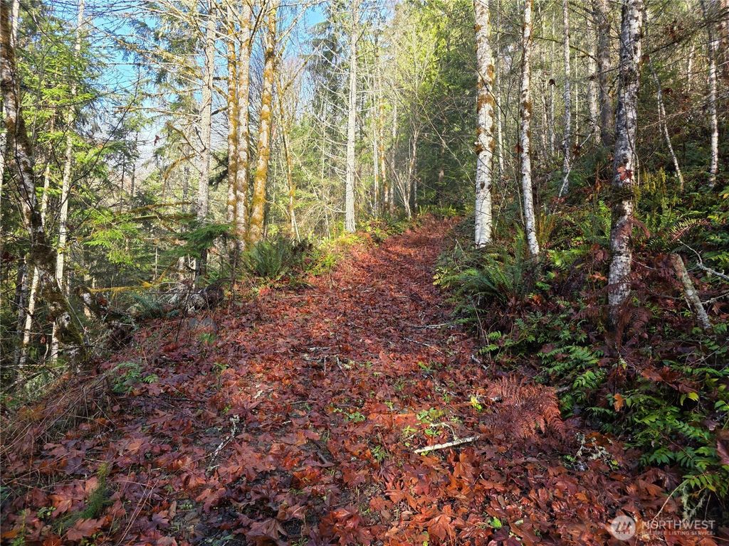 Photo of 3162 Duckabush Road, Brinnon, WA 98320 (MLS # 2465662)