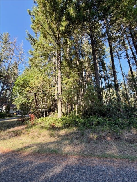 Photo of 12123 Sunset Pl PL, Anderson Island, WA 98303 (MLS # 2596247)
