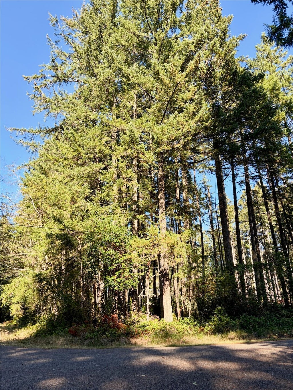 Photo of 12123 Sunset Pl PL, Anderson Island, WA 98303 (MLS # 2596247)
