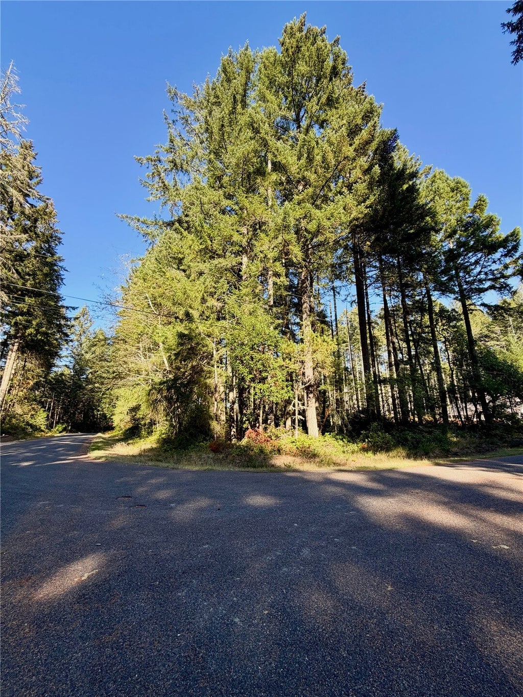 Photo of 12123 Sunset Pl PL, Anderson Island, WA 98303 (MLS # 2596247)