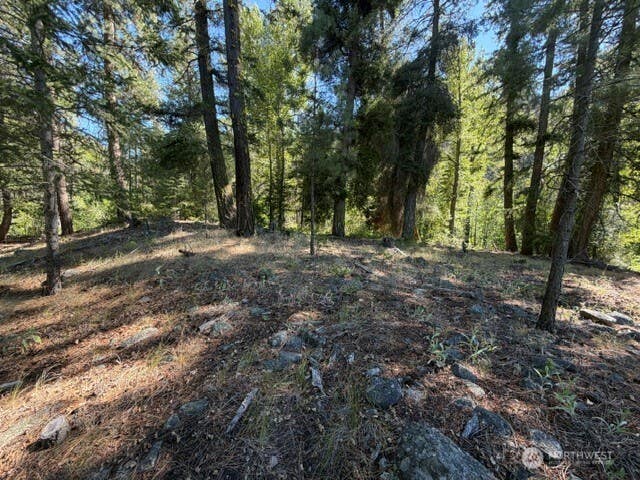 Photo of 0 E Buttermilk Creek Road, Twisp, WA 98856 (MLS # 2552952)