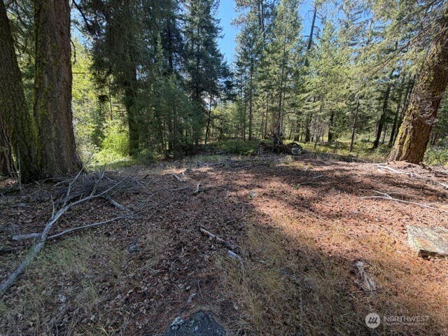 Photo of 0 E Buttermilk Creek Road, Twisp, WA 98856 (MLS # 2552952)