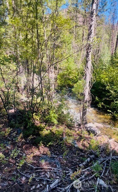 Photo of 0 E Buttermilk Creek Road, Twisp, WA 98856 (MLS # 2552952)