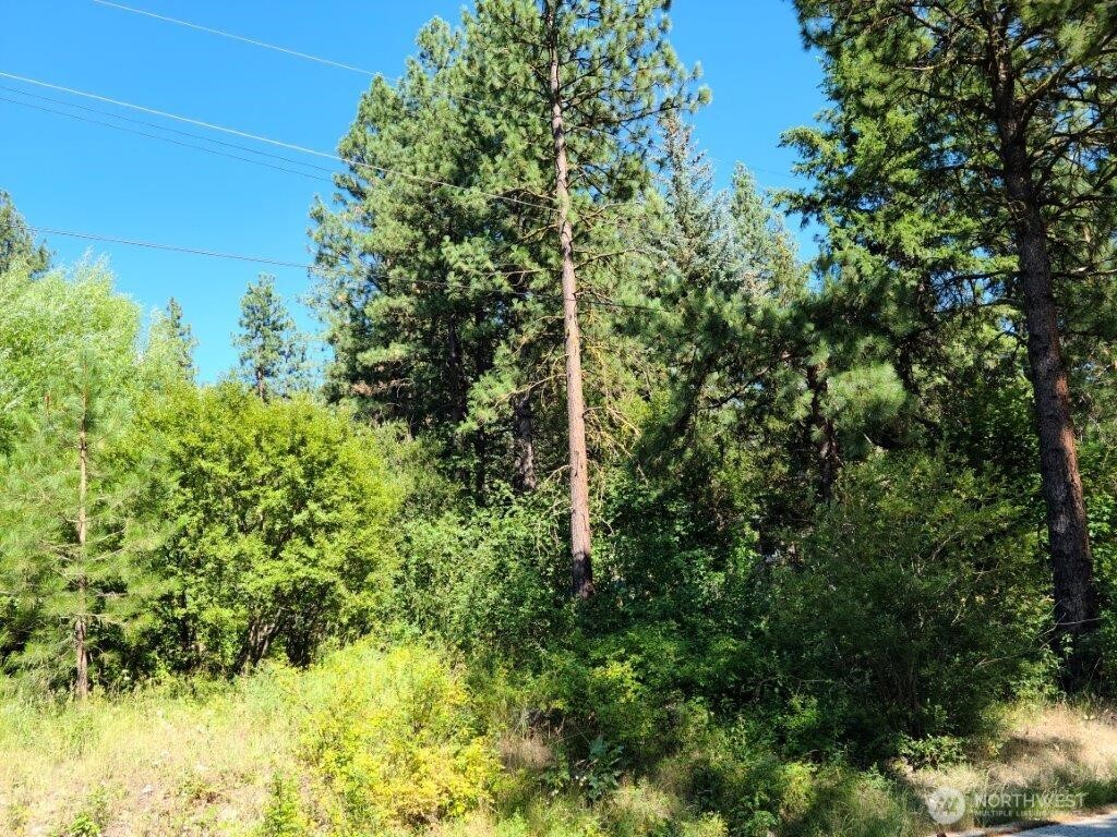 22103 Camp 12 Rd
