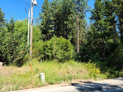 22103 Camp 12 Rd Leavenworth WA 98826