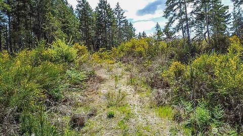 0 Jennifer Lane Shelton WA 98584