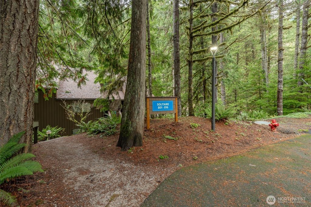 Photo of 10500 Mt Baker Hwy Hwy #815, Deming, WA 98244 (MLS # 2456884)