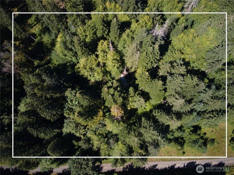 Photo of 0 PCL 2 E Scarlet Road, Shelton, WA 98584 (MLS # 2564283)