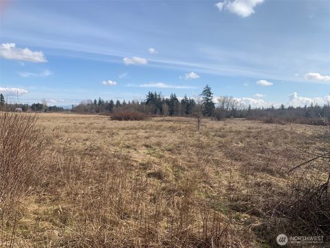 Photo of 9924 Markworth Road, Lynden, WA 98264 (MLS # 2409073)