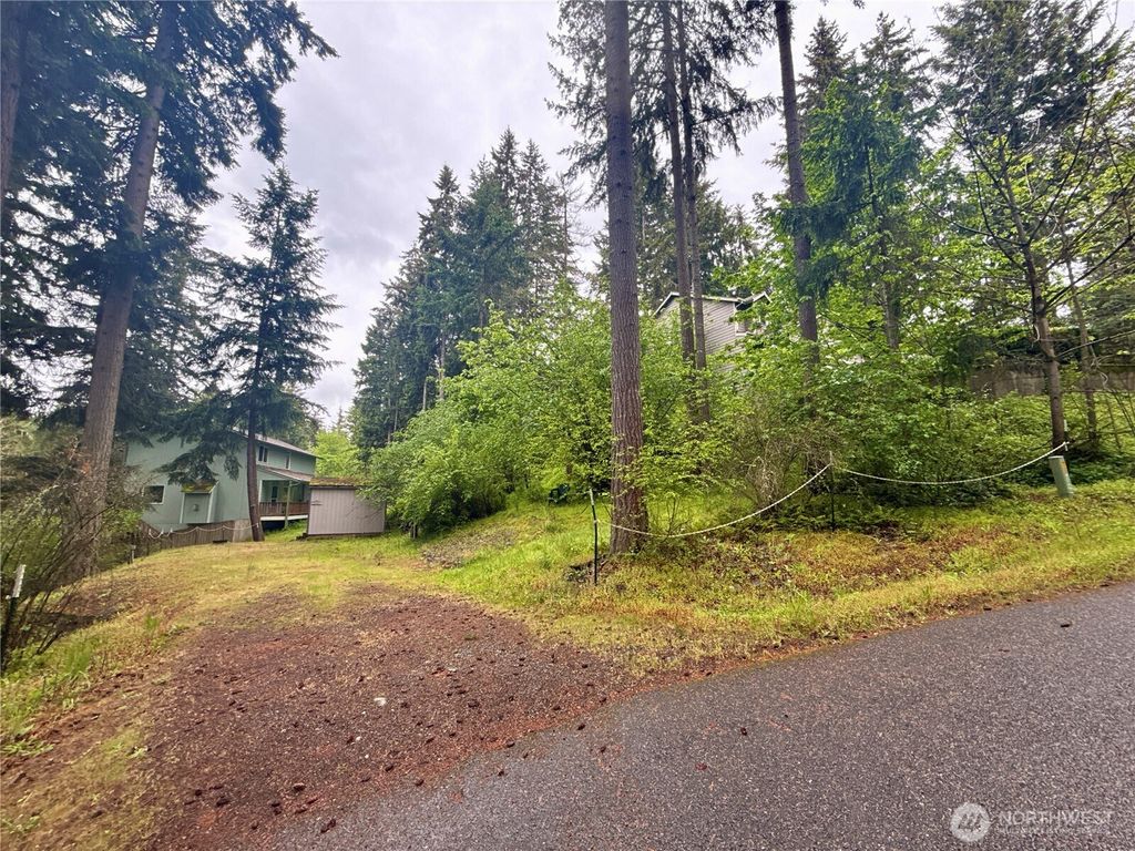 Photo of 22441 Clearview Court SE, Yelm, WA 98597 (MLS # 2525468)