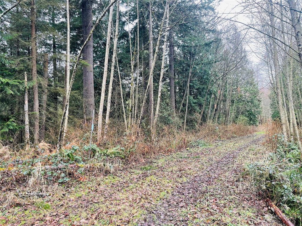 Photo of 67 XX 258th Avenue NE, Redmond, WA 98053 (MLS # 2207025)