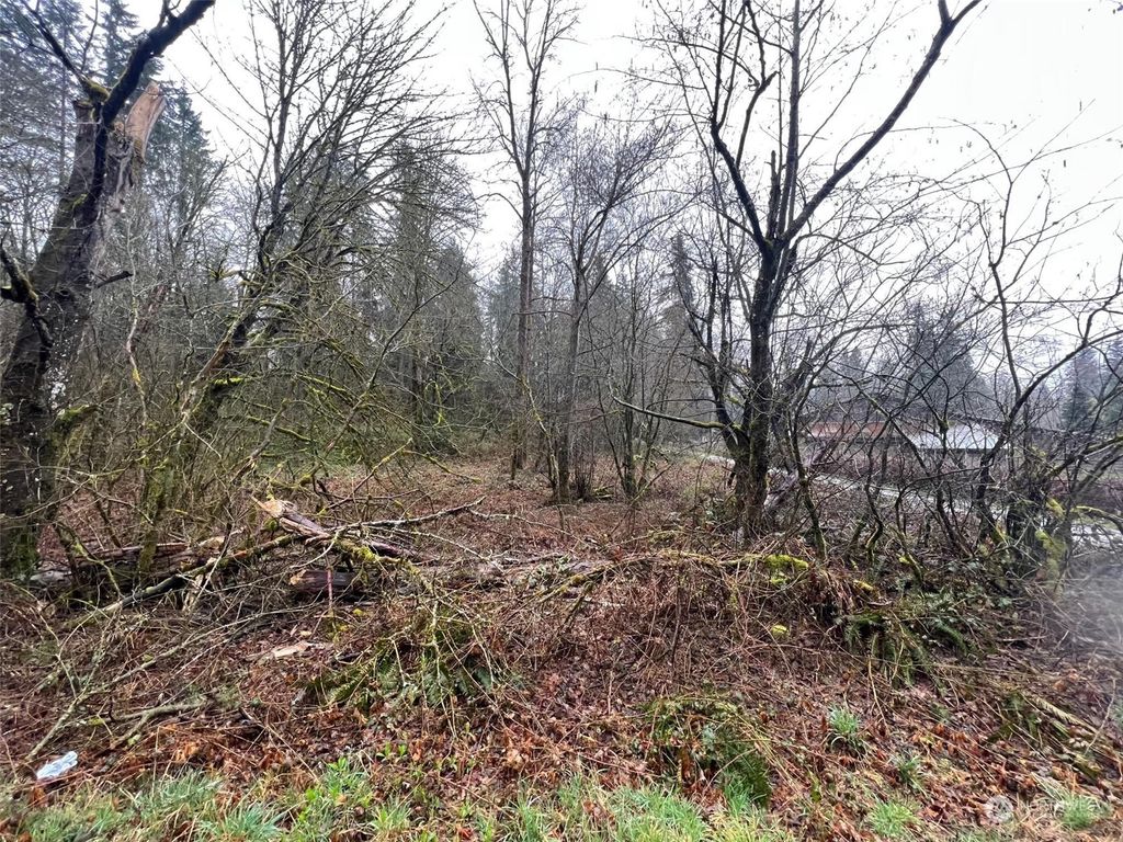 Photo of 27400 SE 188th Street, Issaquah, WA 98038 (MLS # 2054143)