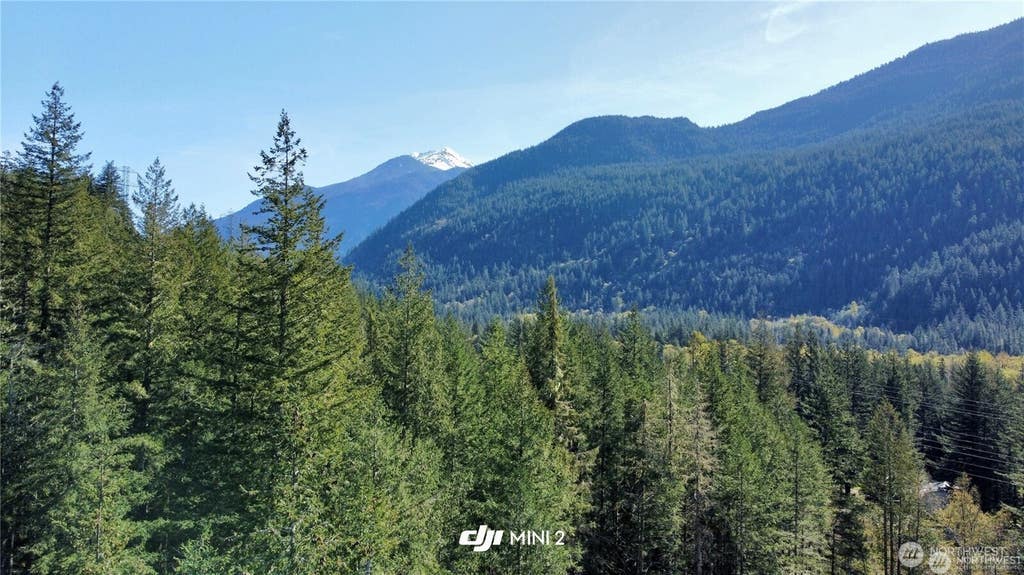Photo of 61164 Dexter Lane, Marblemount, WA 98267 (MLS # 2554510)