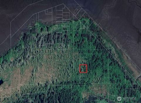 0 XY Astoria Lane Aberdeen WA 98520
