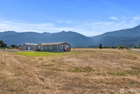 115 Horseshoe Lane White Pass WA 98377