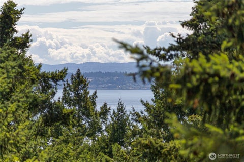 Photo of 668 Carefree Lane, Friday Harbor, WA 98250 (MLS # 2544468)