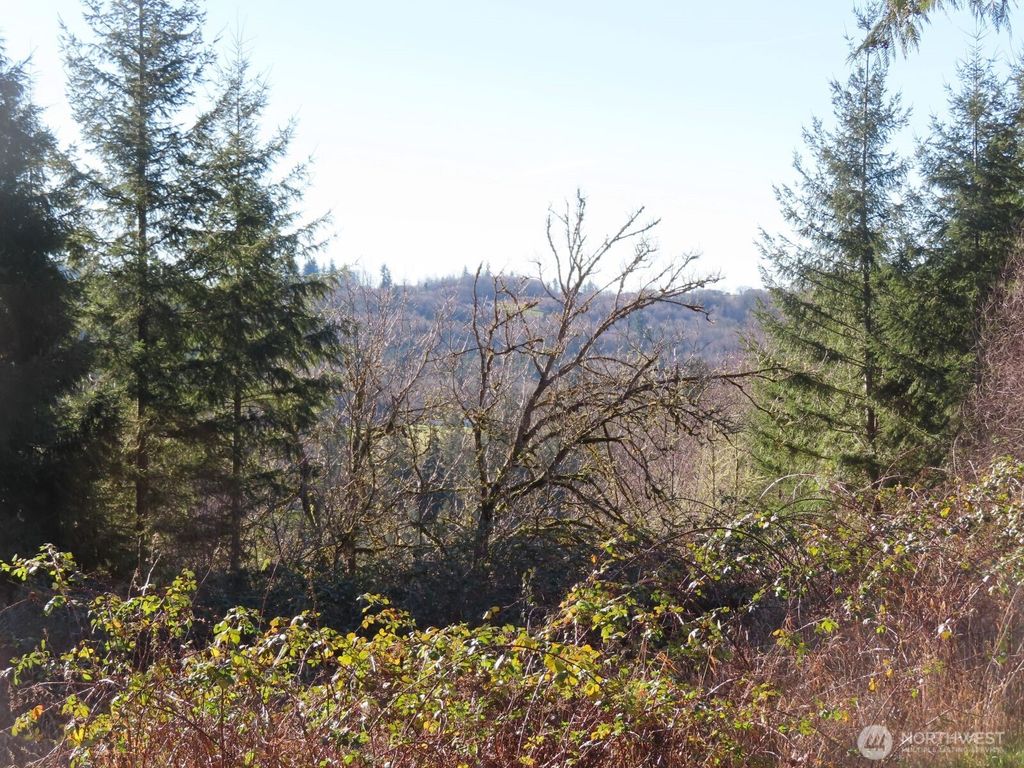 Photo of 0 XXX Larson Road, Mossyrock, WA 98564 (MLS # 2509853)