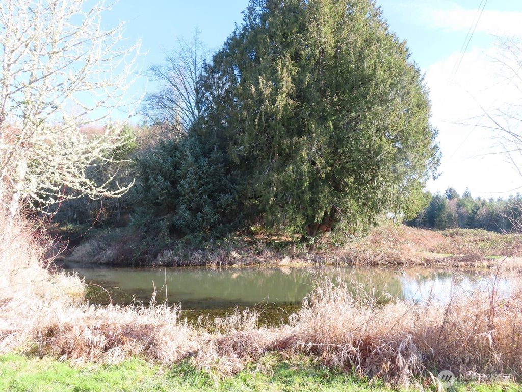 Photo of 0 XXX Larson Road, Mossyrock, WA 98564 (MLS # 2509853)