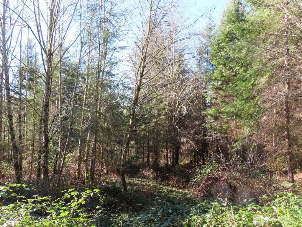 Photo of 0 XXX Larson Road, Mossyrock, WA 98564 (MLS # 2509853)