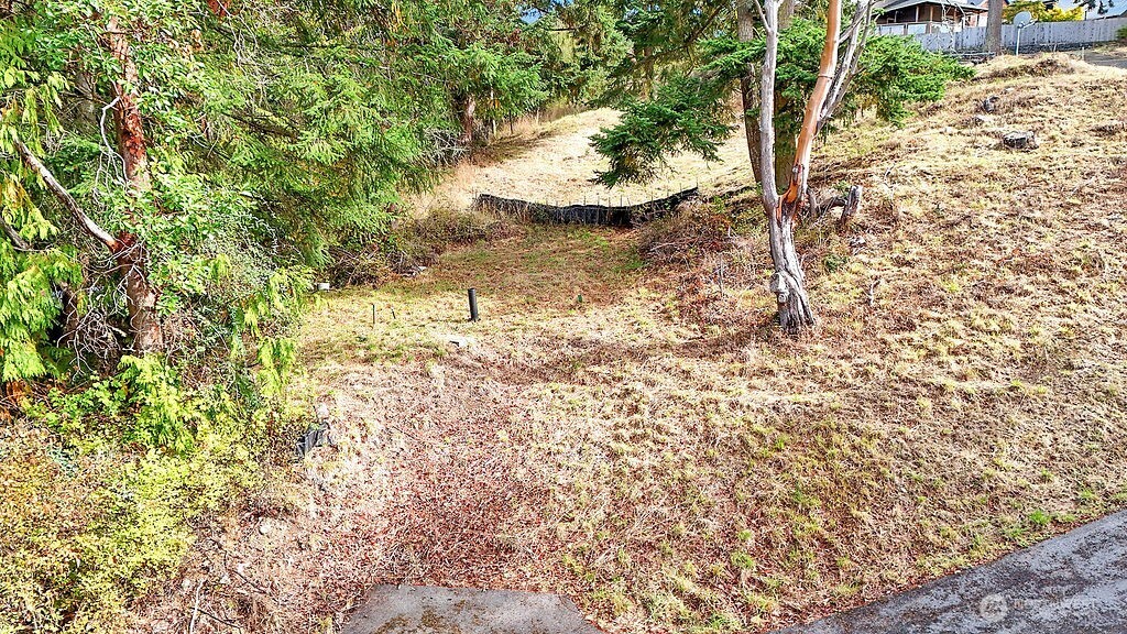 9999 Maple Parcel A Street