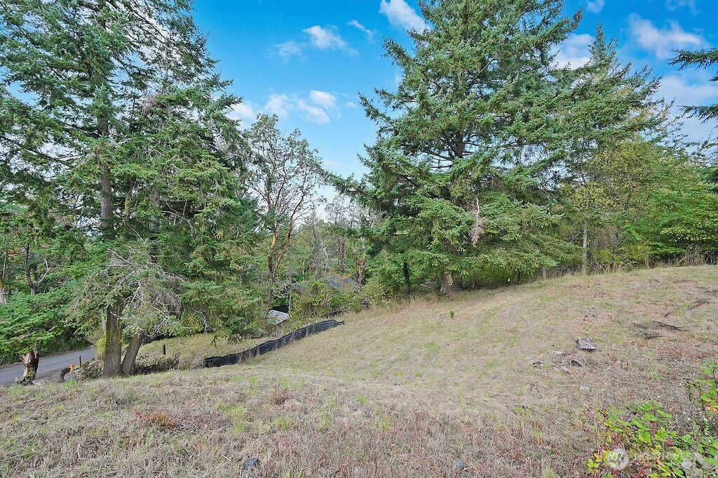 9999 Maple Parcel A Street