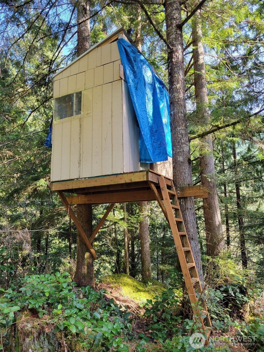 Photo of 0 Acorn Lane, Marblemount, WA 98267 (MLS # 2504071)