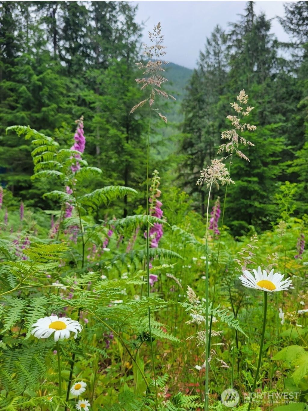 Photo of 0 Acorn Lane, Marblemount, WA 98267 (MLS # 2504071)