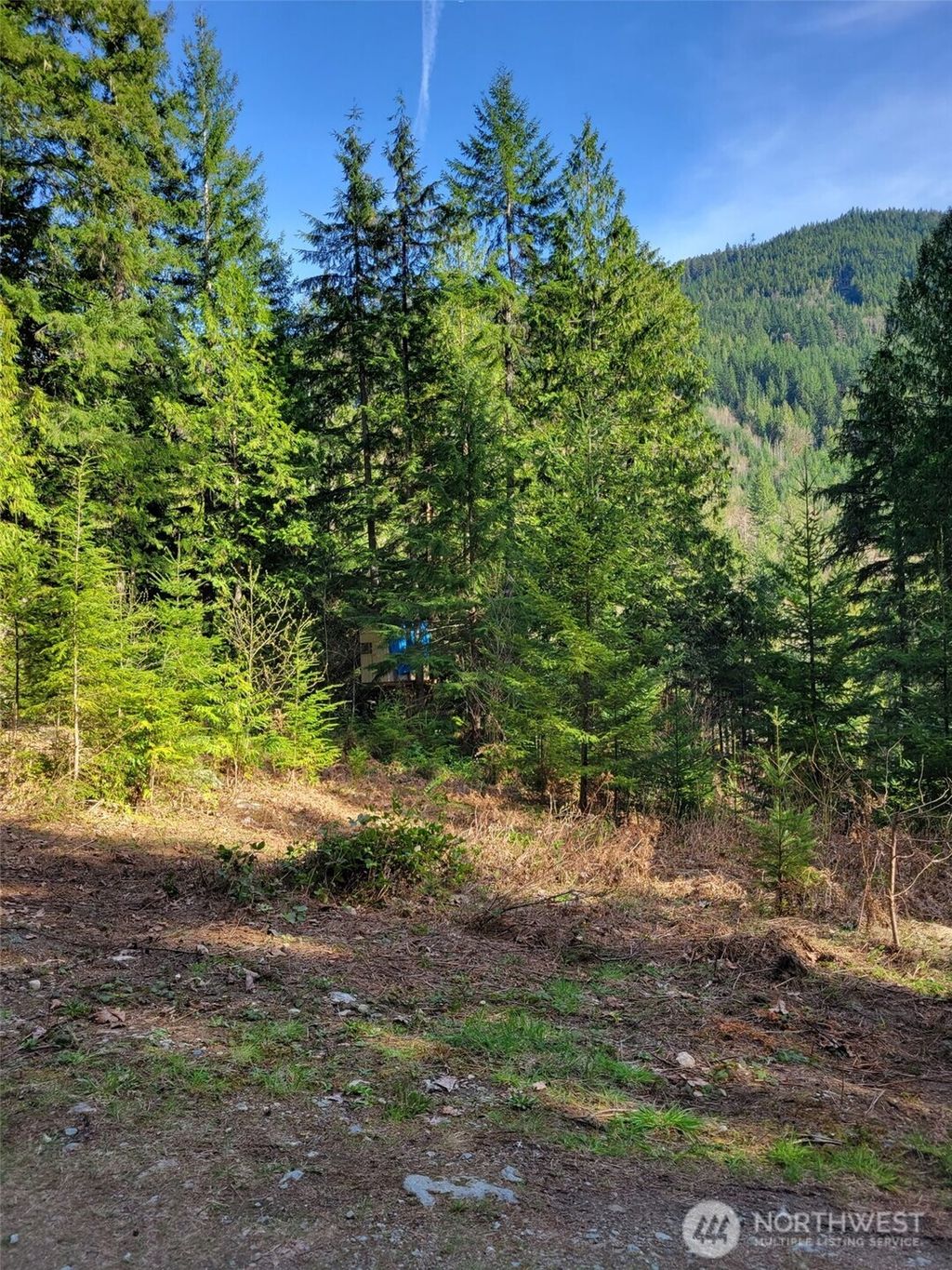 Photo of 0 Acorn Lane, Marblemount, WA 98267 (MLS # 2504071)