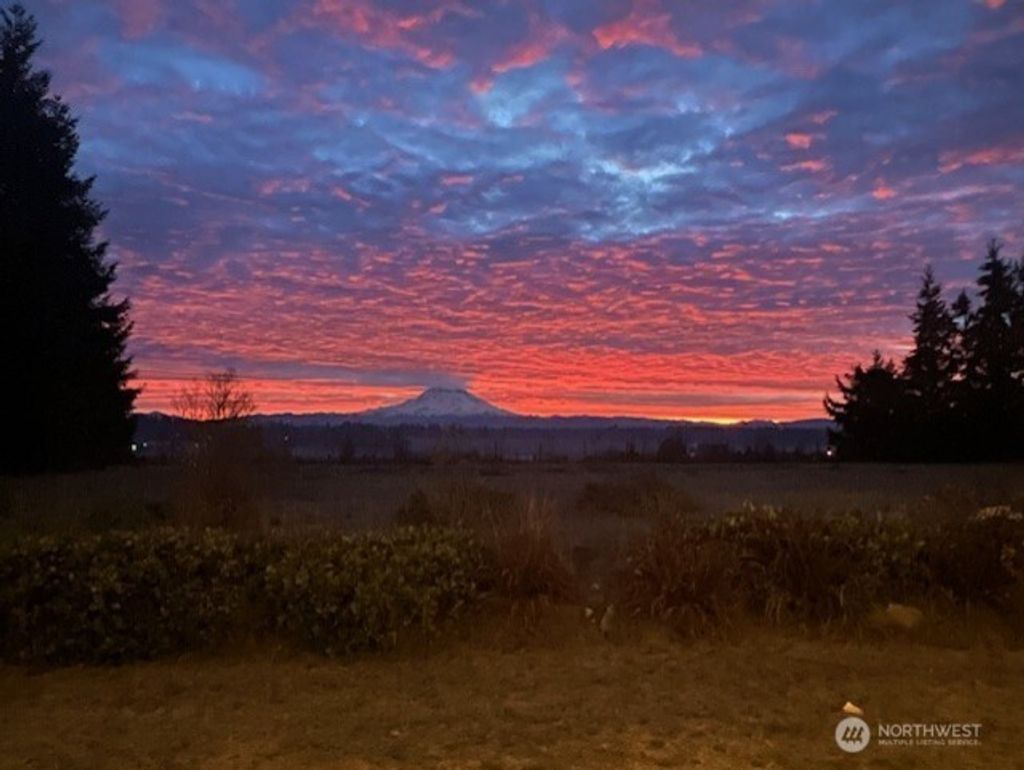 Photo of 30608 40th Avenue S, Roy, WA 98580 (MLS # 2488436)