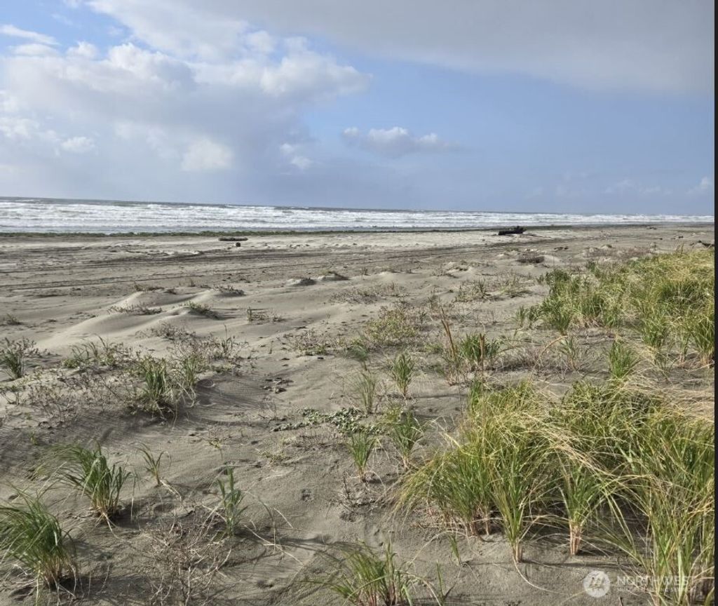 Photo of 4717 State Route 105 S, Grayland, WA 98547 (MLS # 2505859)