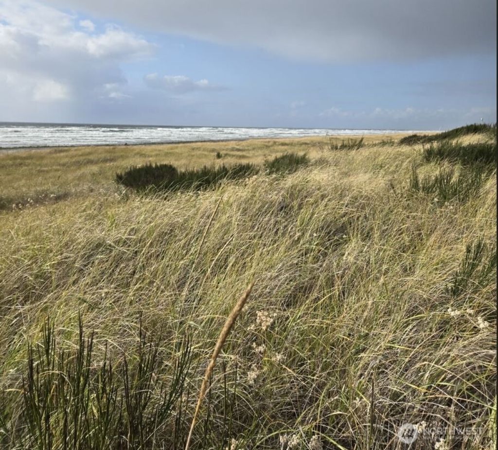 Photo of 4717 State Route 105 S, Grayland, WA 98547 (MLS # 2505859)