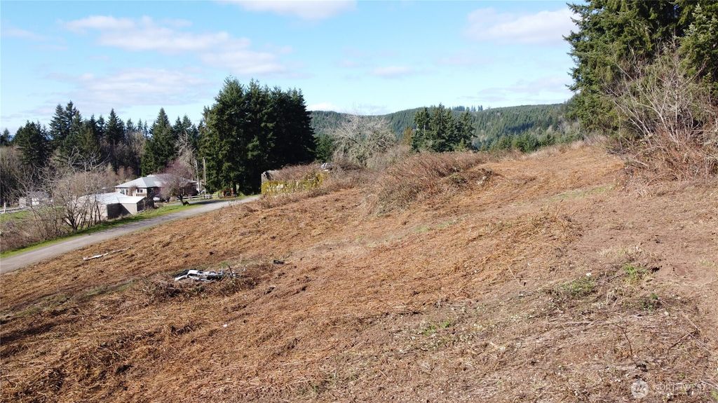 Photo of 0 Lenora Lane, Kelso, WA 98626 (MLS # 2484237)